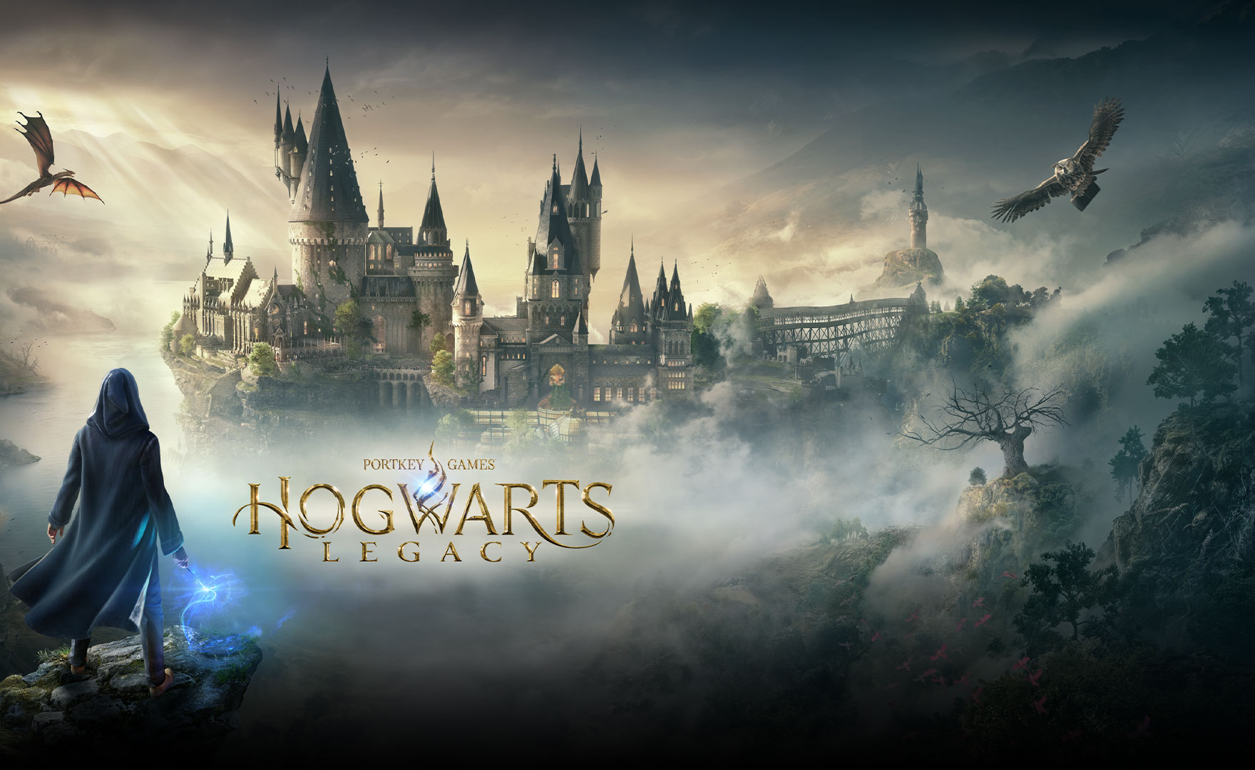 Forse Hogwarts Legacy è davvero troppo violento