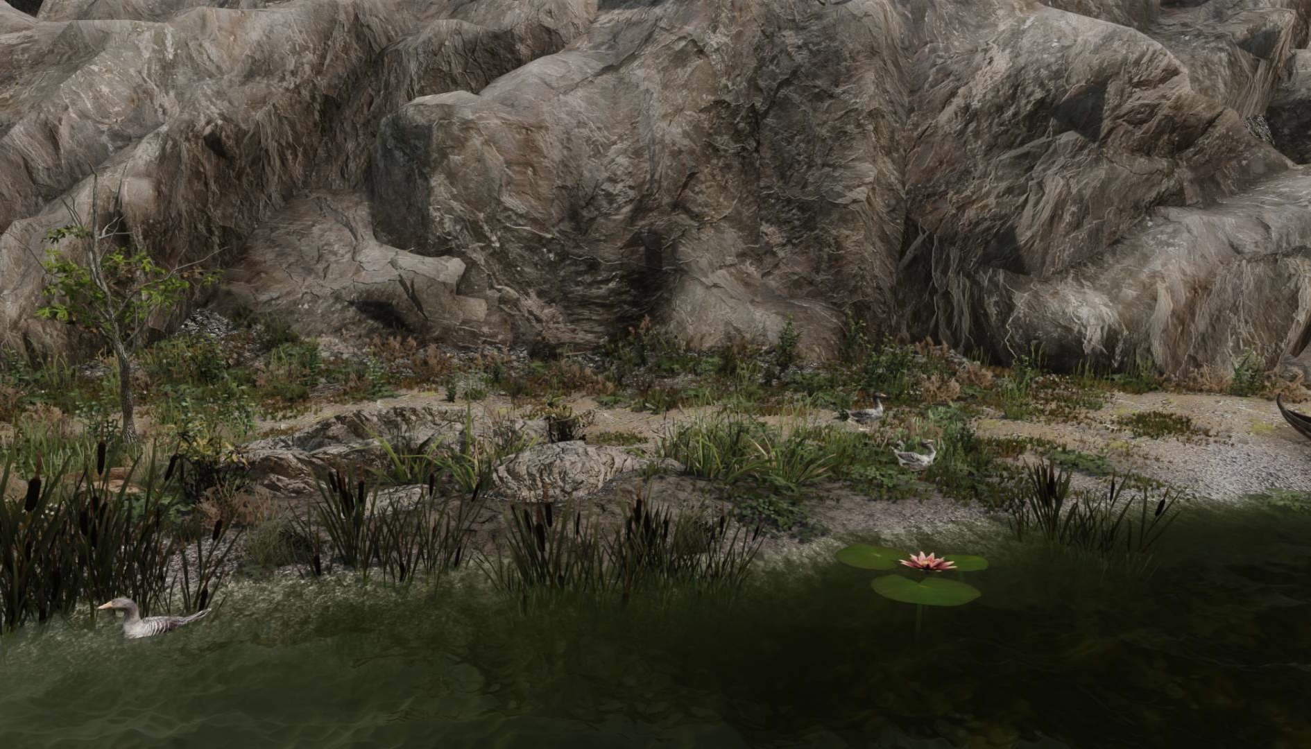 The Elder Scrolls 6: Bethesda ha svelato l’ambientazione?