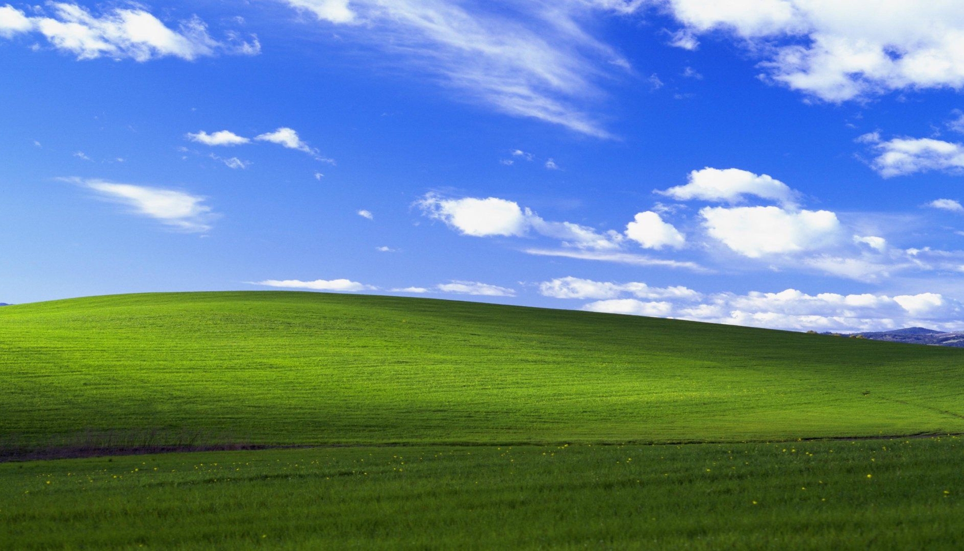 Il codice sorgente di Windows XP è autentico, YouTuber compila un OS funzionante