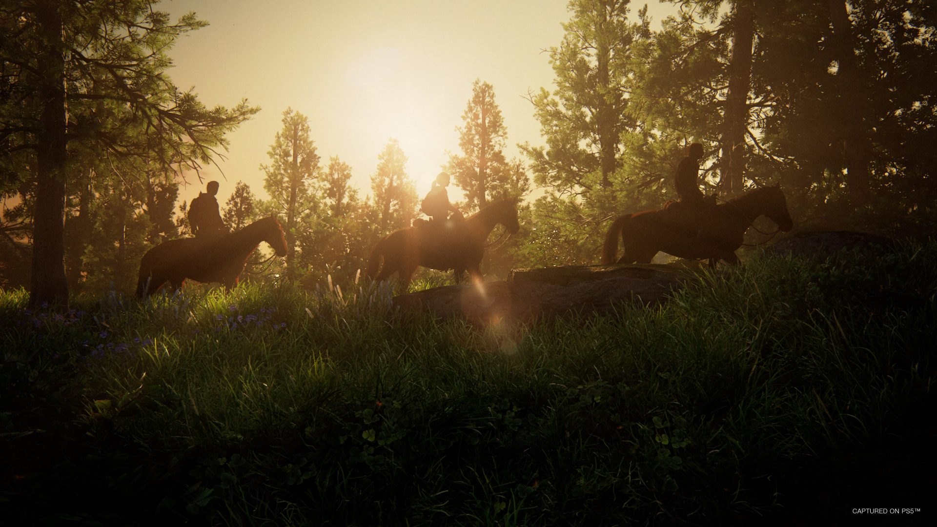 The Last of Us Day 2026: sfondo animato su PS5 e sorprese rimandate al 28 settembre