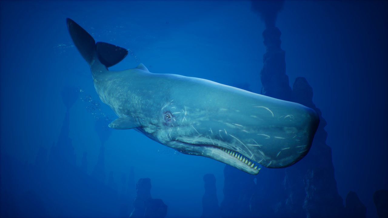 Platino di Maneater: un capodoglio nuota nell'oceano blu