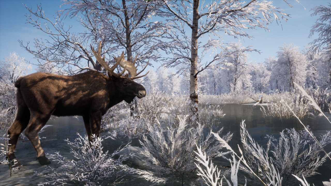 Platino di Medieval Dynasty: un alce nel bosco innevato