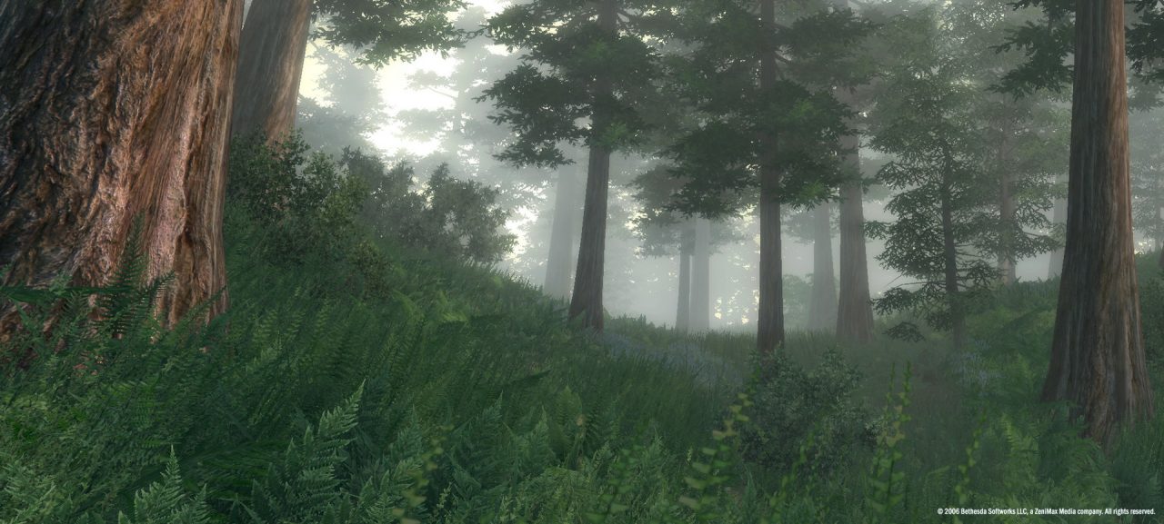 GOG Preservation Program: paesaggio boschivo di The Elder Scrolls IV Oblivion