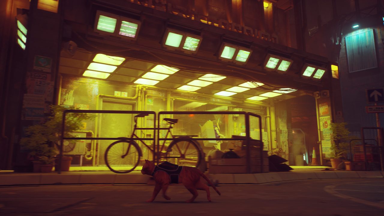 Platino di Stray: il gatto con lo zaino davanti a una bici