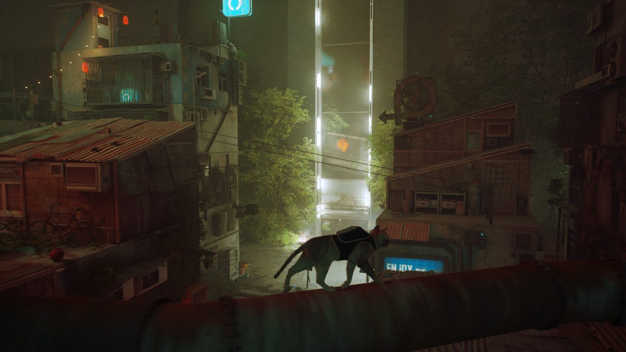Stray trofei: il gatto cammina su un tubo sopra la città